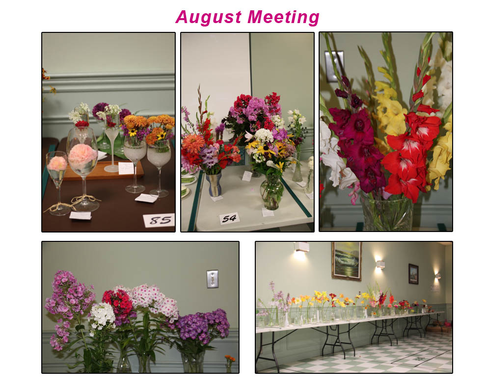 Uxbridge Horticultural Society Photos