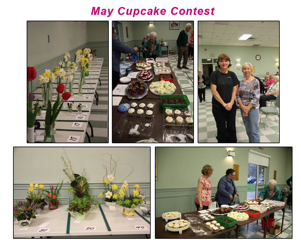 Uxbridge Horticultural Society Photos