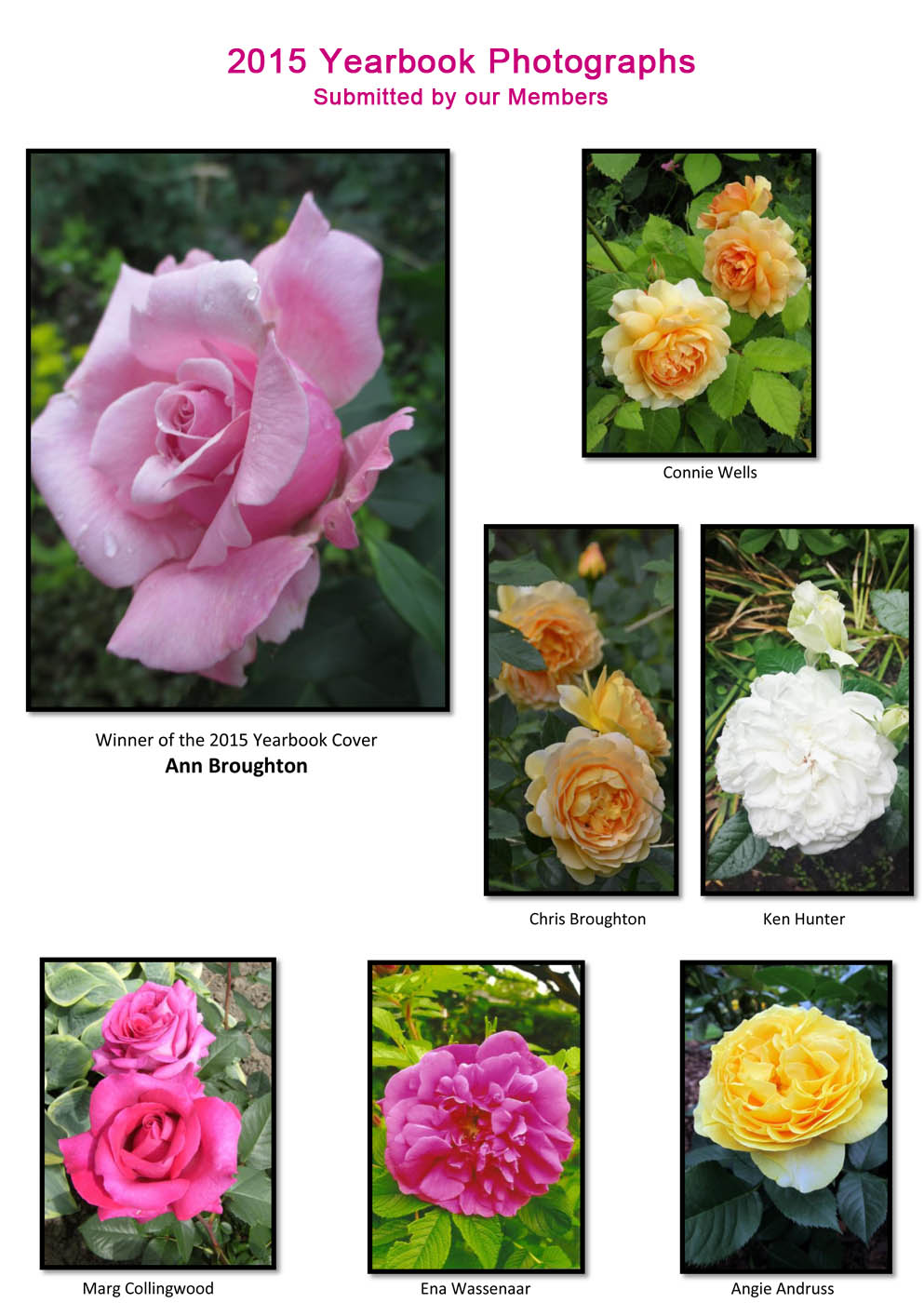 Uxbridge Horticultural Society - 2015 Yearbook Photographs submitted by our members