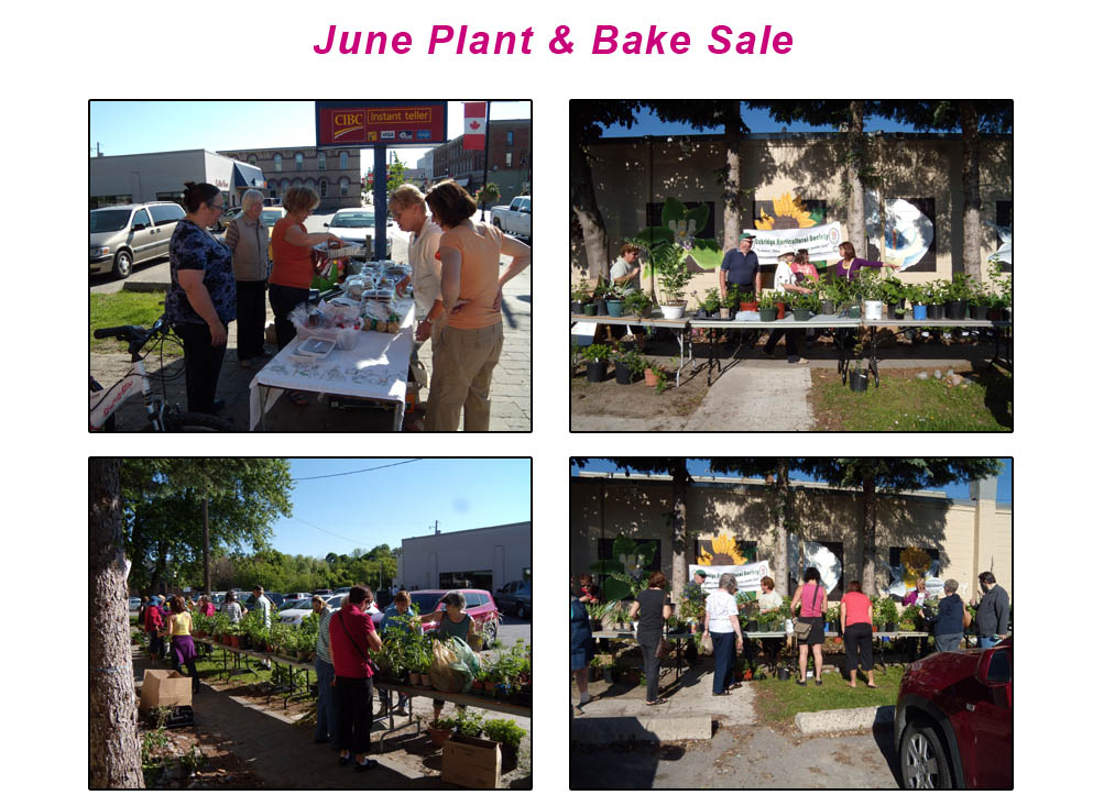 June Plant & Bake Sale