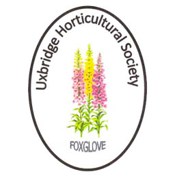 Uxbridge Horticultural Society - Foxglove Emblem